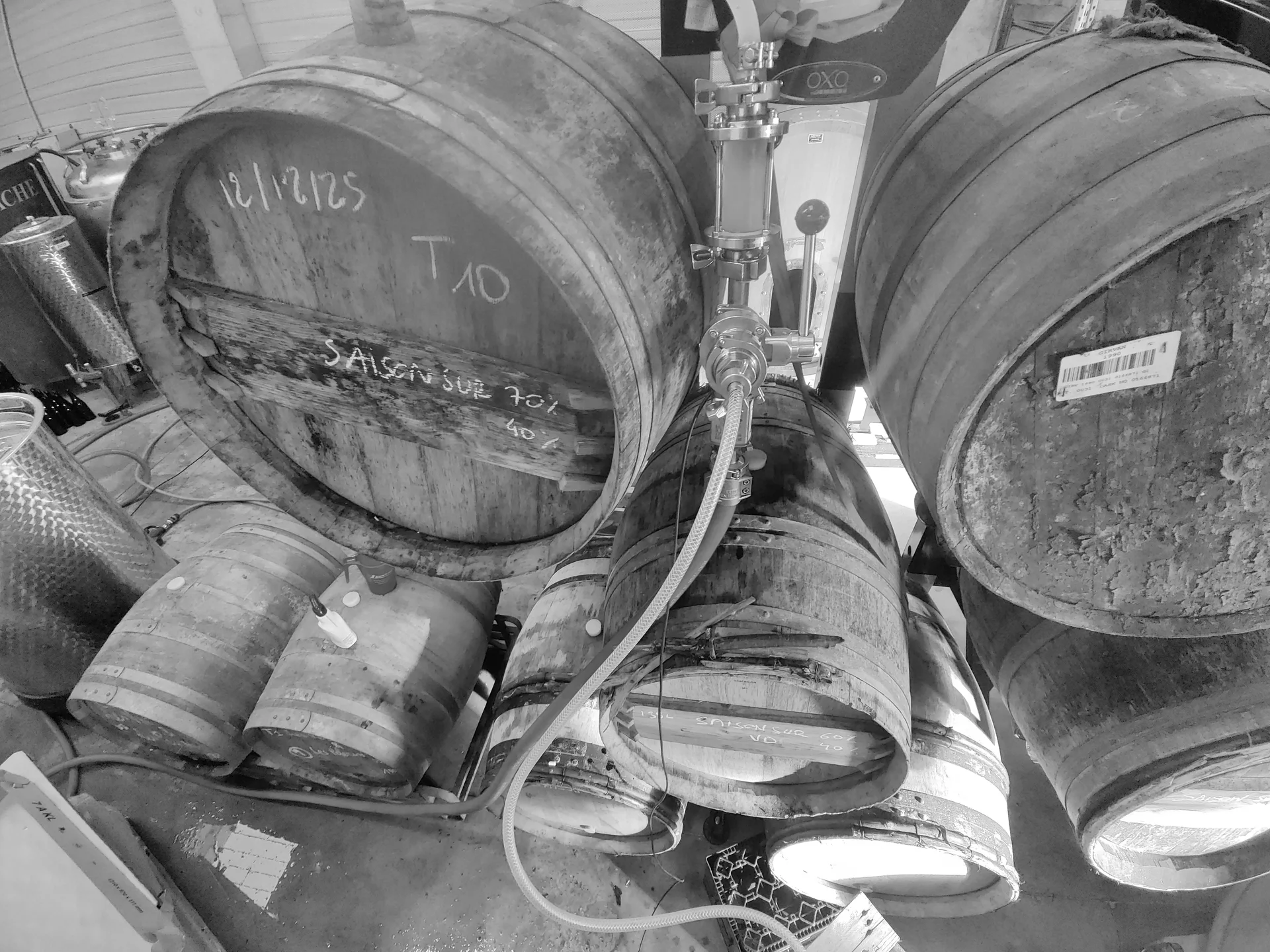 Le Chais - Les Vents Sauvages